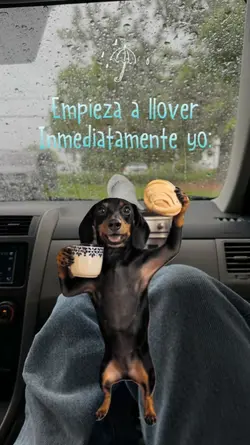 Quiero Café 