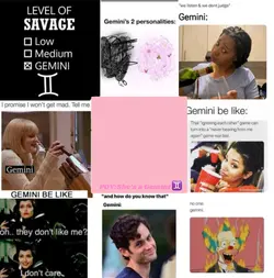 Gemini