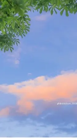 Mẫu vòng lặp 