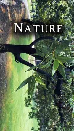 Nature clips