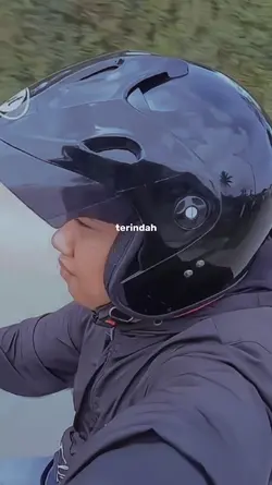 terlukis indah raut