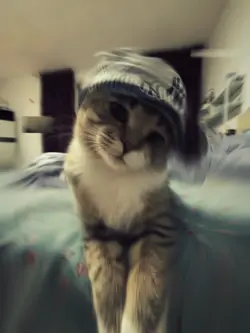 damn 2pict