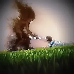 bachira