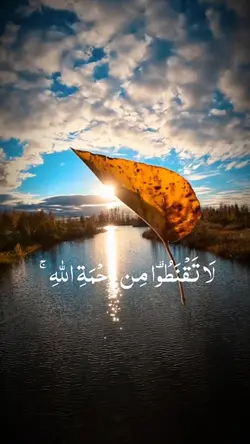 قرآن كريم 