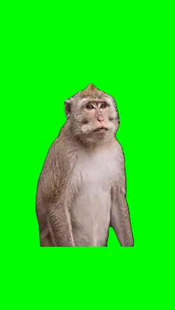 MONKEY APEX DANCE