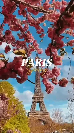 SPRING IN PARIS