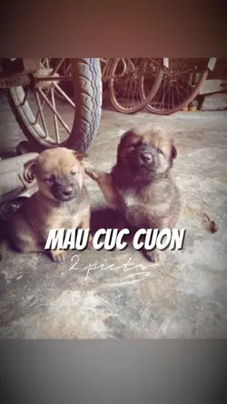 2 Ảnh Nhẹ Nhàng