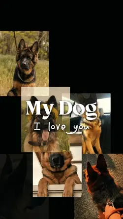 My Dog templates 