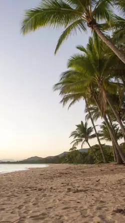 Hawaii templates 