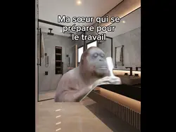 Singe se lave meme