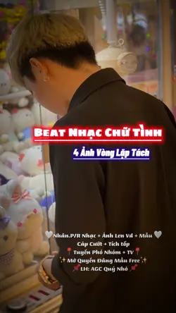 Nhạc Trữ Tình 
