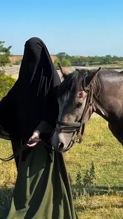 Nasheed Arabic 