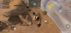 Cod