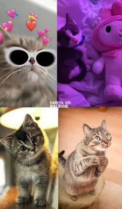 4 fotoğraf'lı
