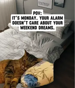 Weekend Over Meme