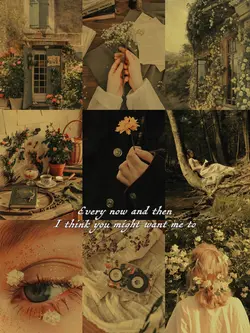 Aesthetic_9Pics