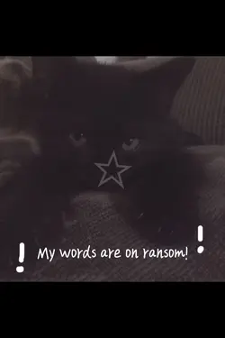 Black cat