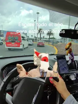Tulio Navidad 