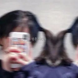 이건 어때요 ?