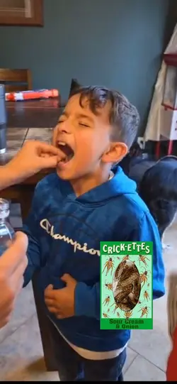 Cricket Challenge