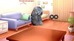 猫ミーム