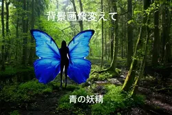 幸せを運ぶ青の妖精