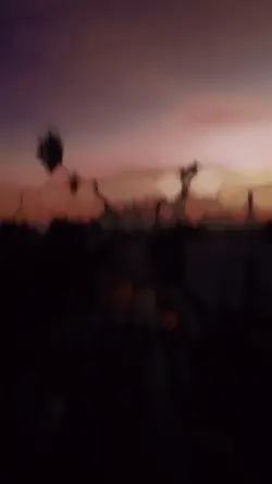 FLOUTAGE EDIT 