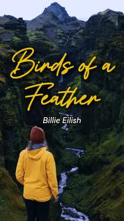 birds of a feather