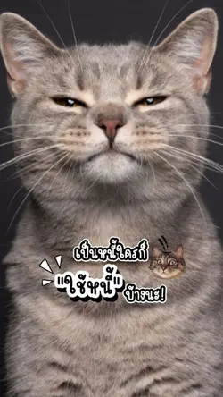 ใช้หนี้บ้างนะ