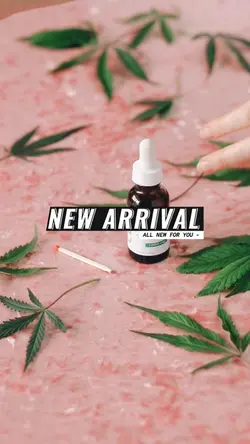 New Arrival