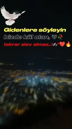Yeni Şablon Geldi 
