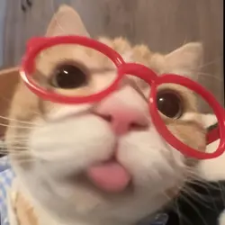 ok chat gpt.