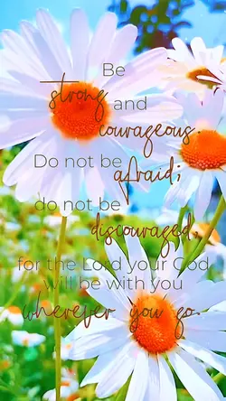 Goodness of God 