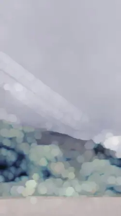 Teri Meri