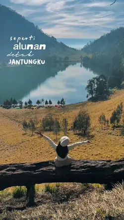 Seperti Alunan Detak