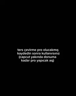 Ters çevirme