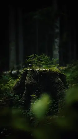 Breath of fresh air