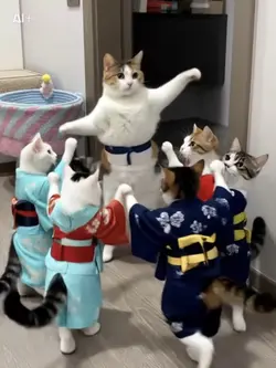 人生初の盆踊り