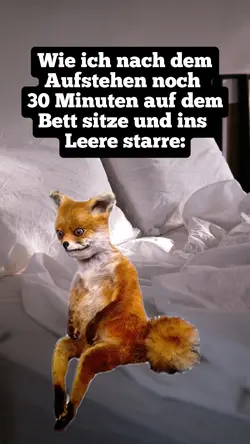 Waiting fox