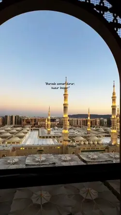Medine