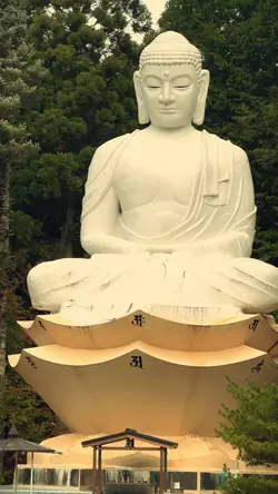 Visiting Buddha