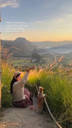 Hoa nở một mùa