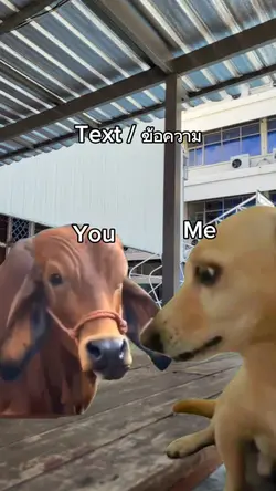 Ummm