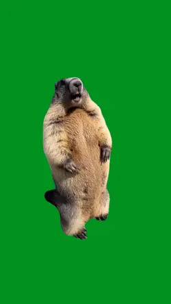 beaver screem ai