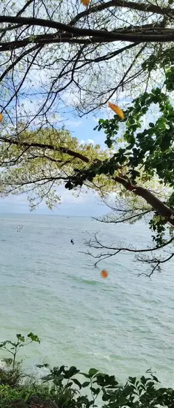 Nice view