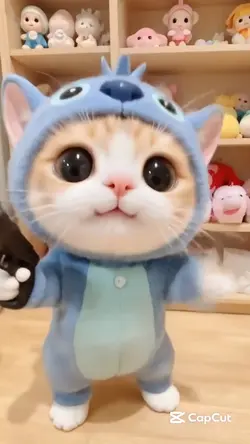 Live wallpaper 