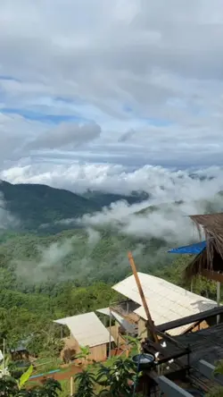 nature view