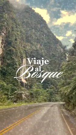 Viaje al bosque