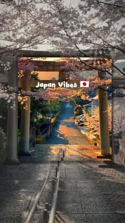 Japan Vibes 