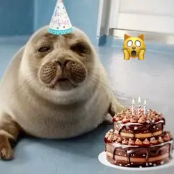 It’s my birthday!